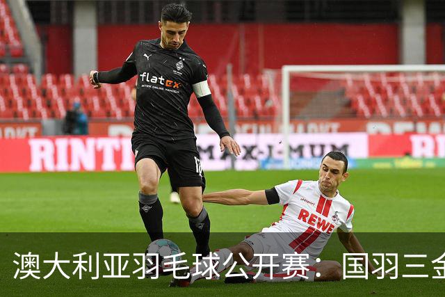 澳大利亚羽毛球公开赛：国羽三金两银收官