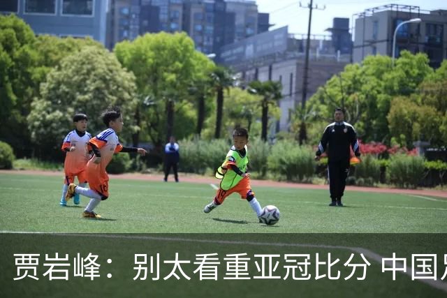 贾岩峰：别太看重亚冠比分 中国足球活着更重要